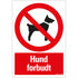 Bord skilt tecken merkki 230x330 mm Combinatie - HUND FORBUDT - 1272300505 - EAN 8711234130075 - hard kunststof polystyreen 1,5 mm