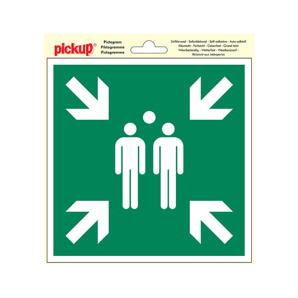 Pictogram 200x200 mm - verzamelplaats - P600-20 - EAN 8711234039217 - zelfklevende vinyl sticker 