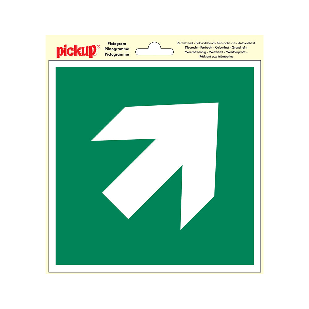 Pictogram 200x200 mm - Vluchtweg pijl schuin - P605-20 - EAN 8711234038982 - zelfklevende vinyl sticker 